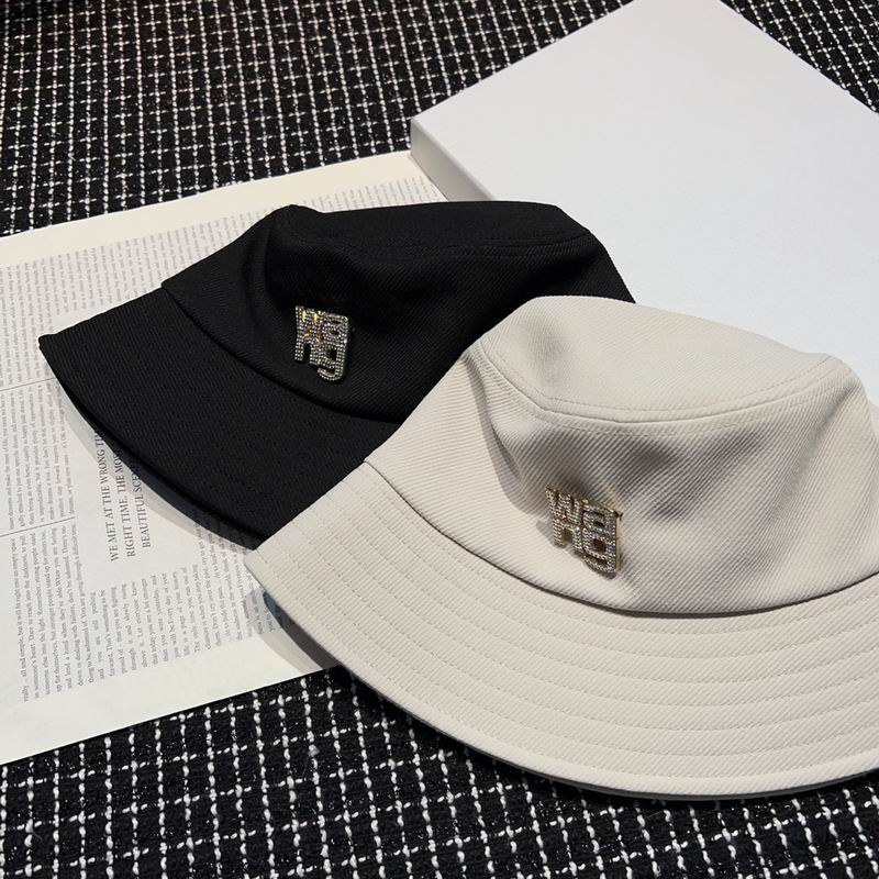 Alexander Wang cap (6)